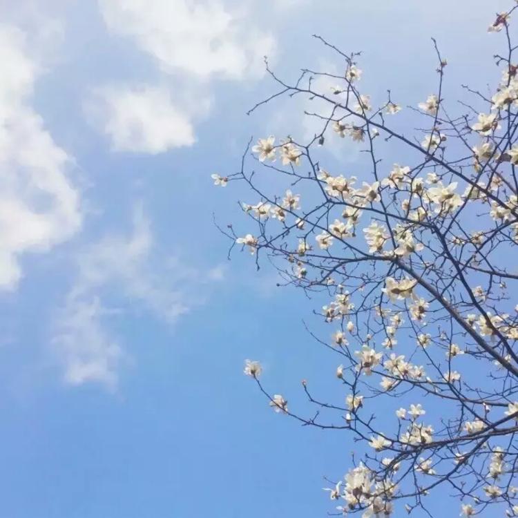 新井赤空（身份：逆刃刀制作者、赠与剑心） - 欧美电影中字在线观看 - 客户端看电影